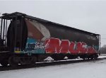 OFOX 385300